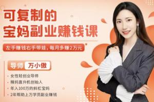 宝妈副业赚钱课_《万小傲可复制的副业赚钱》左手赚钱右手带娃