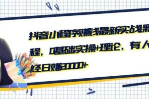 抖音小程序怎么赚钱_抖音小程序赚钱最新实战课程！