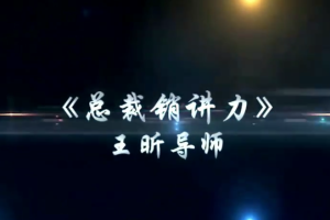 招商女神王昕_融、招、养“三位一体”招商理论_《总裁销讲力》
