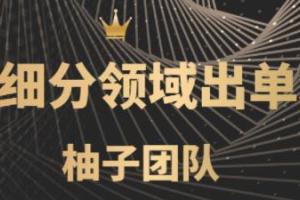 闲鱼怎么出单赚钱？闲鱼细分领域暴力出单号月入5000 教程