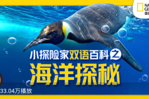 小探险家双语百科_《国家地理》海洋探秘