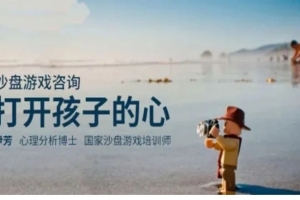 沙盘游戏疗法设置与操作_尹芳打开孩子的心
