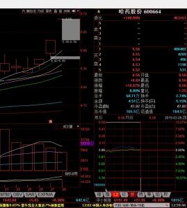 淘股吧万博兄弟_盘前策略 盘后总结 更新中