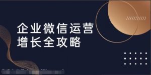 企业微信运营方案ppt,企业微信运营增长全攻略,引流 裂变 运营 成交(16节体系课)