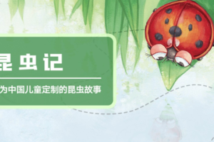 凯叔讲故事《昆虫记》