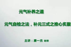 养生修真功法之添油接命与补养之道_元气检查秘法养生视频教程