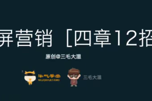 三毛大湿《滑屏营销》_彻底打造无线端高转化的成功秘诀