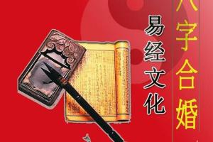 陈武兴八字婚姻_2017八字婚姻视频课程合集15集5G