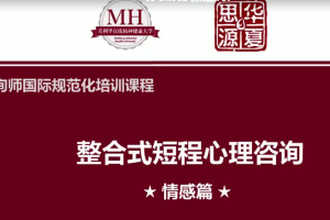 张道龙心理咨询师《国际规范化培训》_84个真实个案视频与解析