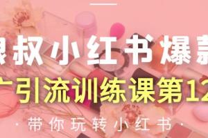 小红书爆款推广引流教程_狼叔训练课第12期