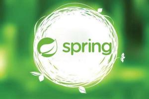 Spring精髓视频教程