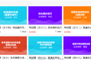 多多大师商学院：多多大师VIP拼多多运营培训课程（价值2980元）