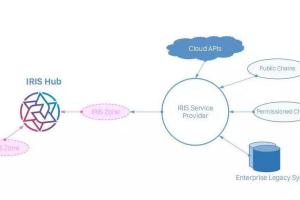 GoWeb架构师研发实战指南：Iris架构设计与应用实战视频教程
