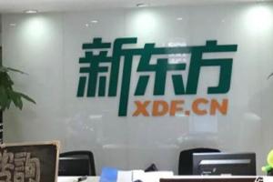 【新东方网络课程】英语基础语法速成班（48节课）