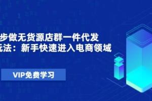 无货源店群一件代发实操课程_新手快速进入电商领域（从0起步40节视频）