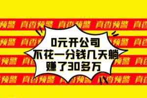 0元开公司，不花一分钱几天躺赚了30多万