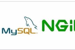 标杆徐:Linux自动化运维系列 Nginx知识体系入门实践课程资源