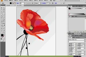 adobeillustrator教程视频_Adobe Illustrator视频教程资源(工具 实例)