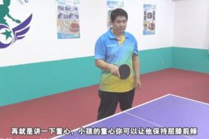 乒乓球教学视频（横拍 直拍）共100集