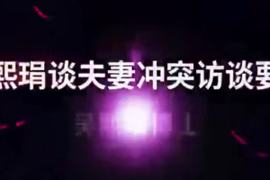 吴熙琄解读当代夫妻关系案例_十讲婚姻家庭议题视频课