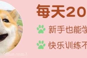 孙若旺：7天就能纠正狗狗坏习惯的训犬教程视频