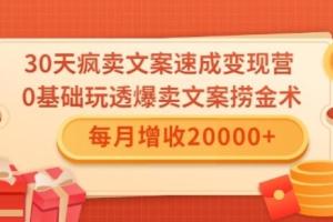 销售战报文案：0基础玩透爆卖文案捞金术！每月增收20000