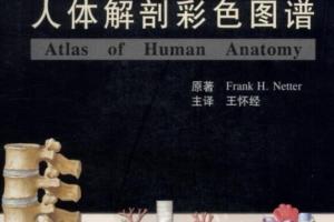 奈特人体解剖彩色图谱（第三版）PDF网盘
