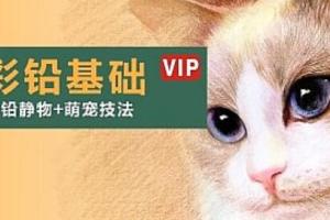 彩铅手绘入门教程_零基础彩铅手绘动物教程（31集）
