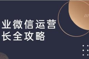 麦子学院：企业微信运营增长全攻略（引流 裂变 运营 成交）