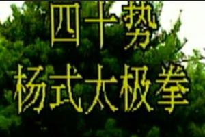 杨式四十式太极拳（百度云高清）