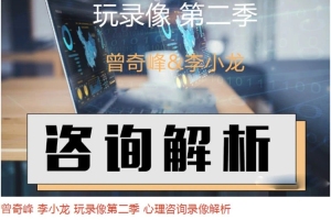 曾奇峰&李小龙玩录像第二季_心理咨询录像解析18集(视频 音频)