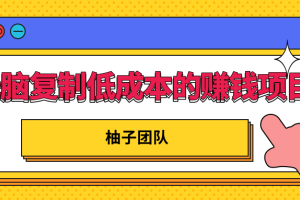 柚子团队：无脑复制低成本的赚钱项目小白也能日赚200