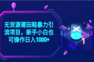 无货源莆田鞋暴力引流项目教程，新手小白也可实操日入1000 【揭秘】