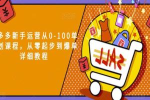 恒哥·拼多多新手运营从0-100单策划课程，从零起步到爆单详细教程