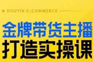 直播间小公主丹丹·金牌带货主播打造实操课