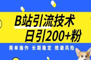 B站精准引流技术教程：每天引流200精准粉，简单操作，长期稳定