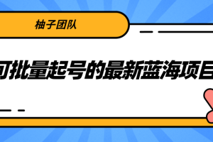 柚子团队【可批量起号的最新蓝海项目】利用抖音民间故事号月入10000