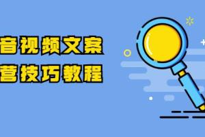 抖音视频文案运营技巧教程【注册 养号 发作品 涨粉方法】10节视频课