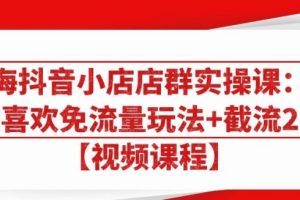 大海抖音小店店群实操课：猜你喜欢免流量玩法 截流2.0