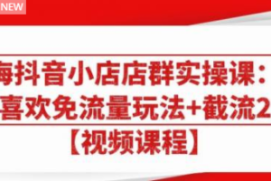 大海抖音小店店群实操课：猜你喜欢免流量玩法 截流 2.0
