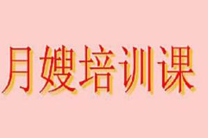 月嫂培训完整版视频教程（7GB）