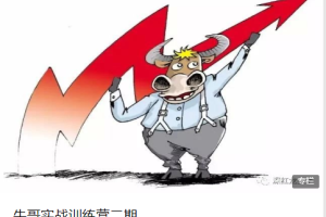 牛哥实战训练营第二期百度云资源