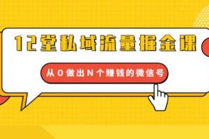 私域流量掘金课：打通私域流量关卡从０做出Ｎ个赚钱的微信号（12节）