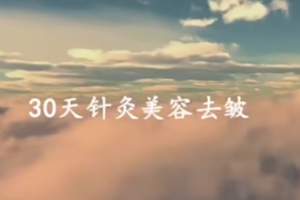 针灸学课程：针灸美容美雕针面针教程