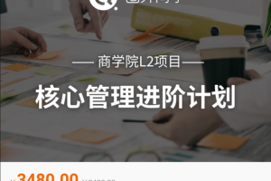 圈外商学院L2项目：核心管理进阶计划教程