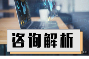 曾奇峰&李孟潮 《心理咨询录像解析 第一季》高清视频 文稿