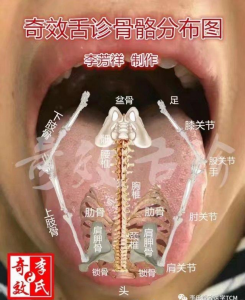李芳祥舌诊高清视频合集：奇效舌诊