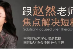 赵然于丹妮：SFBT高效焦点解决取向治疗视频课程
