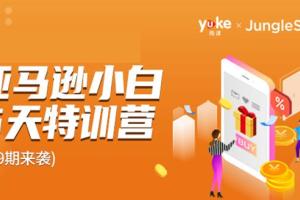 雨课·亚马逊小白特训营第9期：跨境电商赚钱教程