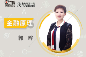 吴晓波我的财富计划：郭晔金融原理